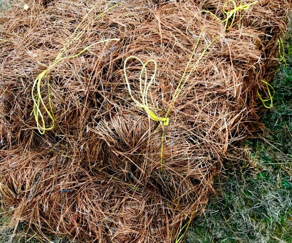 baled pine straw