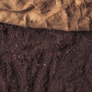 Garden Soil Mix