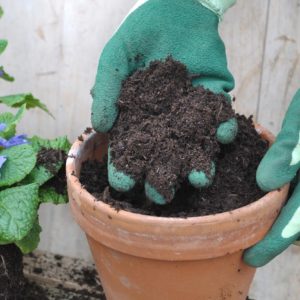 potting soil mix